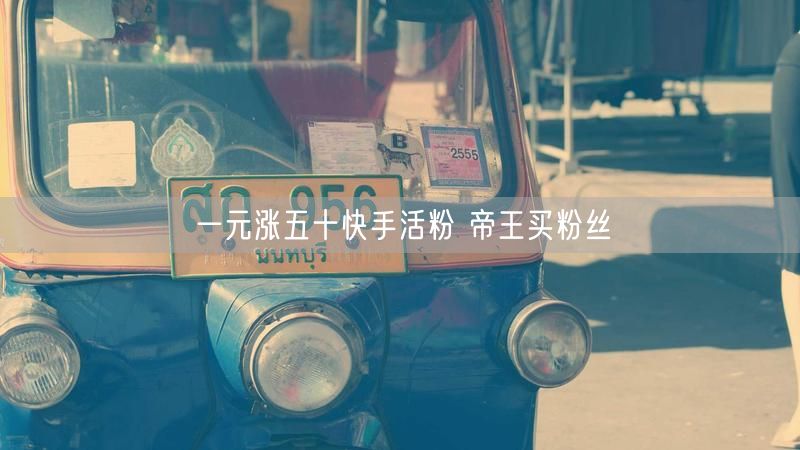一元涨五十快手活粉 帝王买粉丝