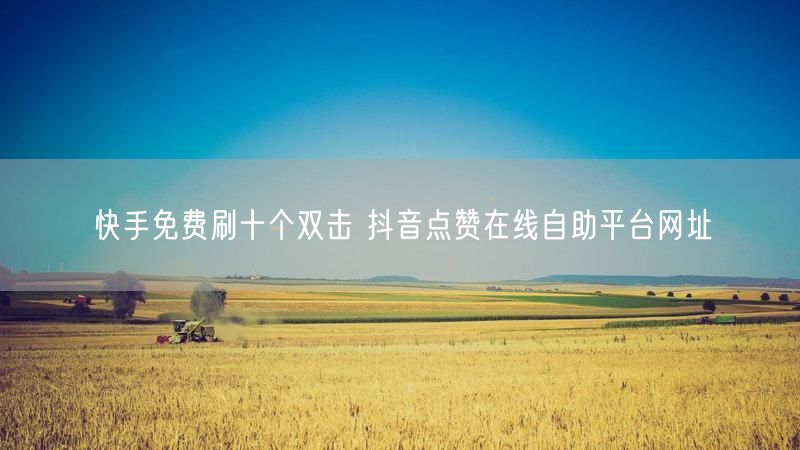 快手免费刷十个双击 抖音点赞在线自助平台网址