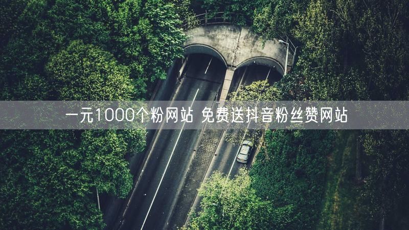 一元1000个粉网站 免费送抖音粉丝赞网站