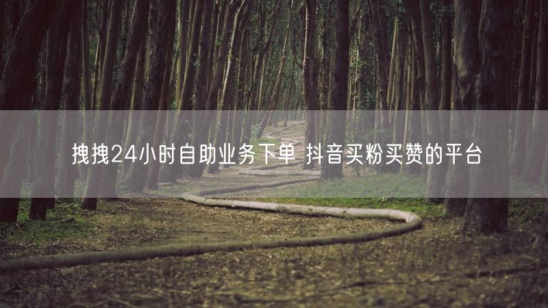 拽拽24小时自助业务下单 抖音买粉买赞的平台