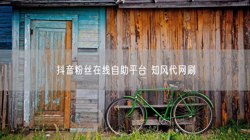 抖音粉丝在线自助平台 知风代网刷