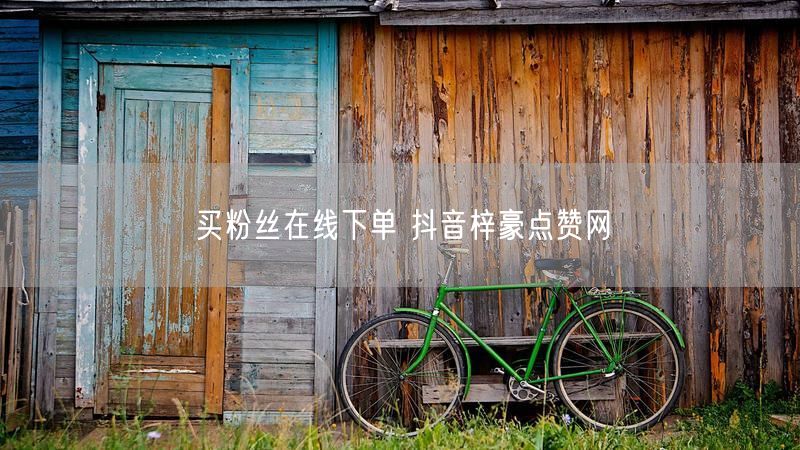 买粉丝在线下单 抖音梓豪点赞网