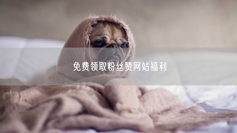 免费领取粉丝赞网站福利