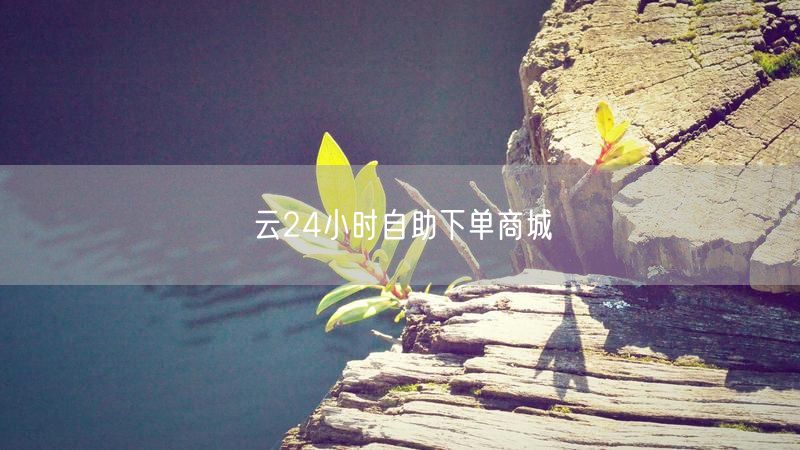 云24小时自助下单商城