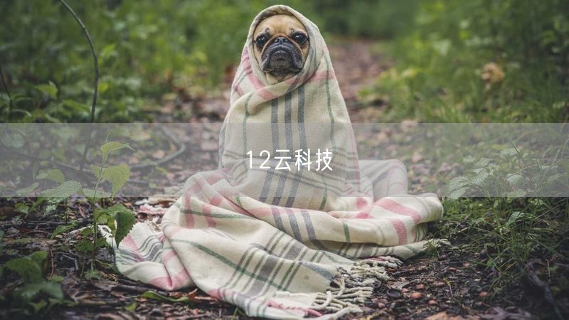 12云科技