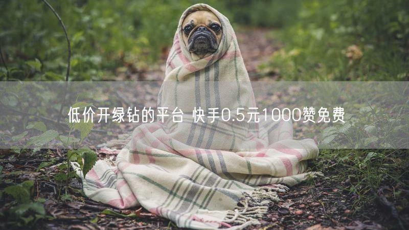 低价开绿钻的平台 快手0.5元1000赞免费