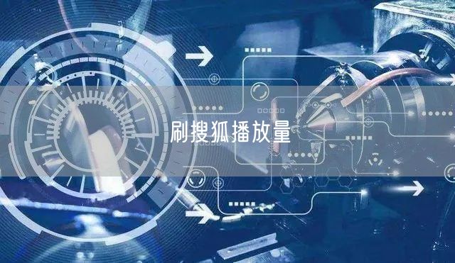 刷搜狐播放量