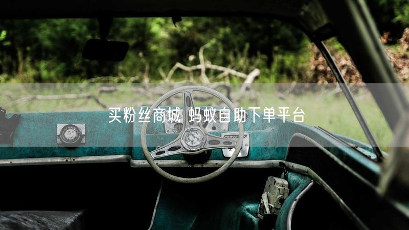 买粉丝商城 蚂蚁自助下单平台