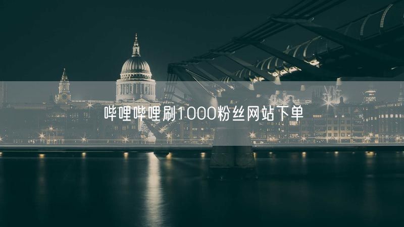 哔哩哔哩刷1000粉丝网站下单