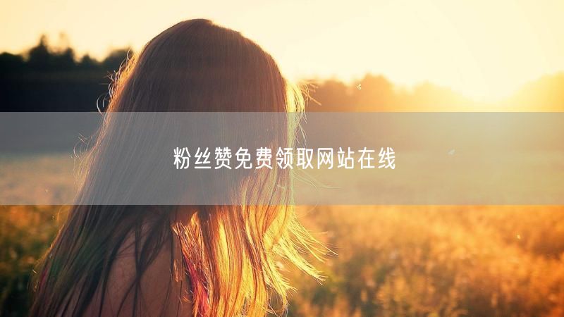 粉丝赞免费领取网站在线