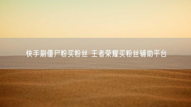 快手刷僵尸粉买粉丝 王者荣耀买粉丝辅助平台