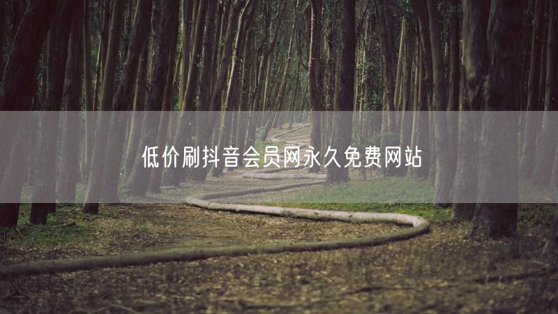 低价刷抖音会员网永久免费网站