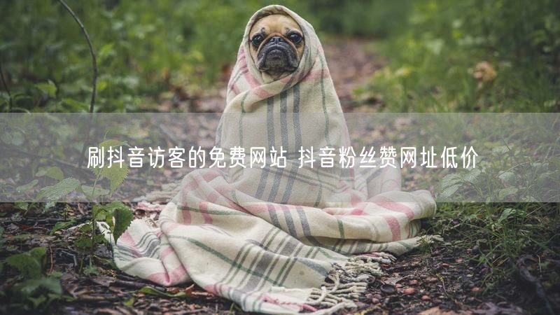 刷抖音访客的免费网站 抖音粉丝赞网址低价