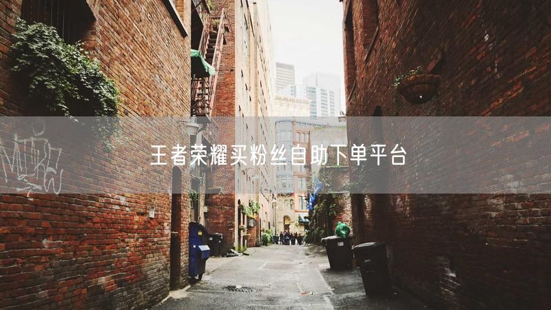 王者荣耀买粉丝自助下单平台