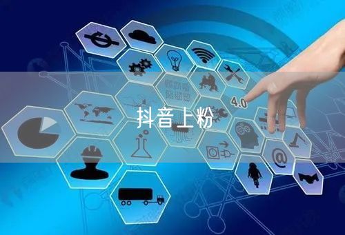 抖音上粉
