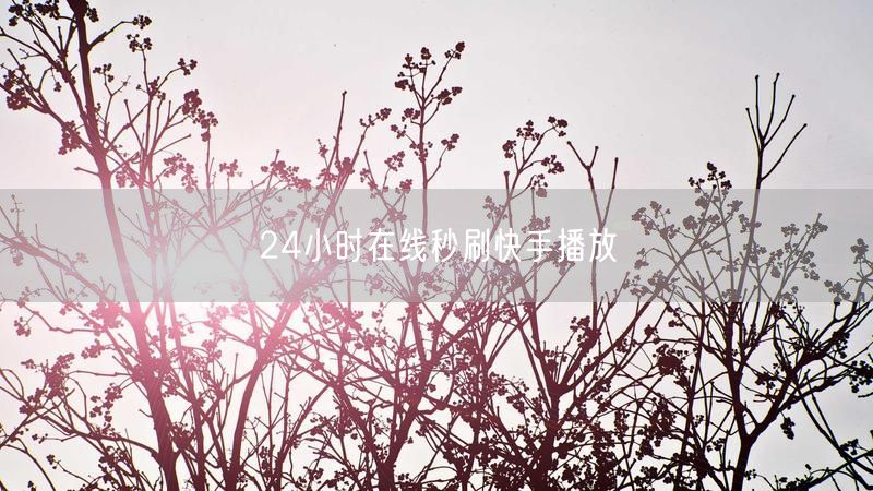 24小时在线秒刷快手播放