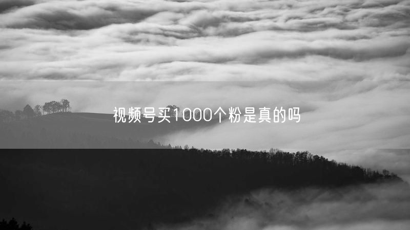 视频号买1000个粉是真的吗
