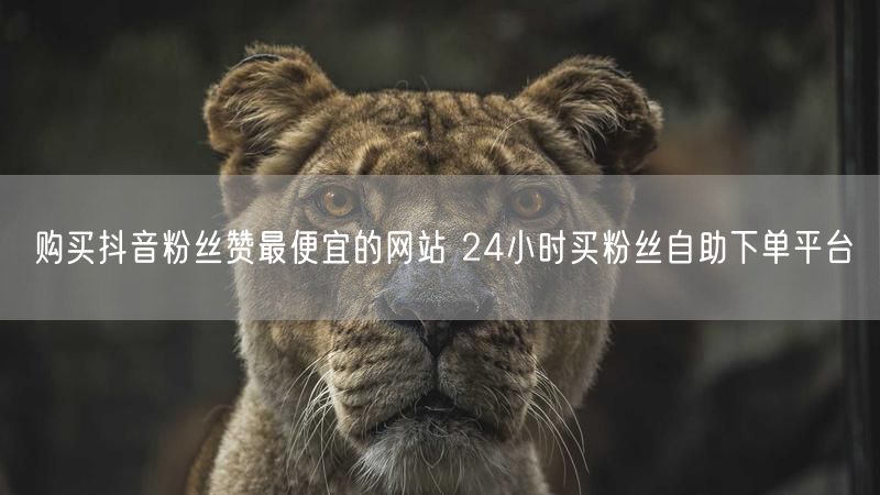 购买抖音粉丝赞最便宜的网站 24小时买粉丝自助下单平台