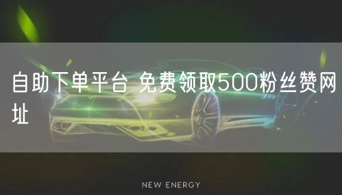 自助下单平台 免费领取500粉丝赞网址