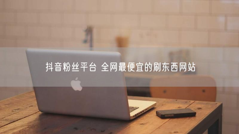 抖音粉丝平台 全网最便宜的刷东西网站