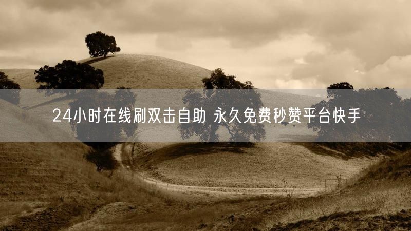 24小时在线刷双击自助 永久免费秒赞平台快手