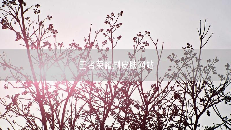 王者荣耀刷皮肤网站