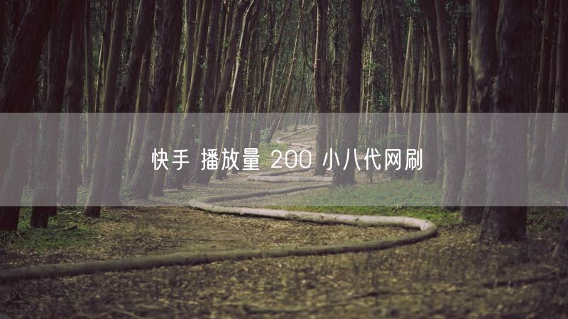 快手 播放量 200 小八代网刷
