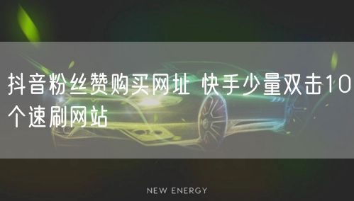 抖音粉丝赞购买网址 快手少量双击10个速刷网站
