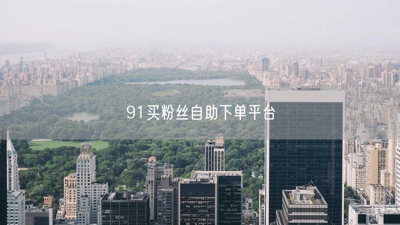 91买粉丝自助下单平台