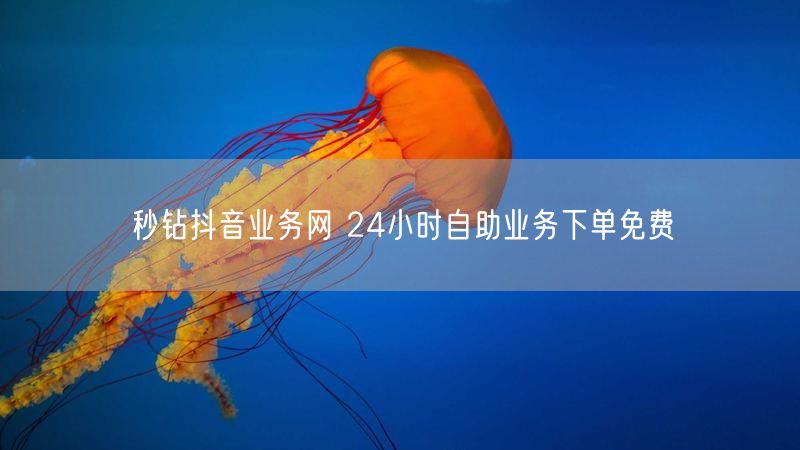 秒钻抖音业务网 24小时自助业务下单免费