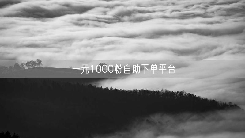 一元1000粉自助下单平台
