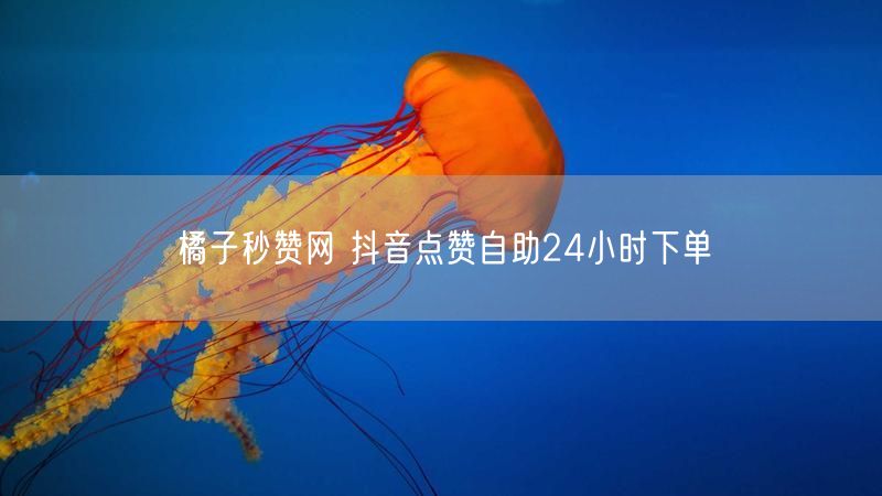 橘子秒赞网 抖音点赞自助24小时下单