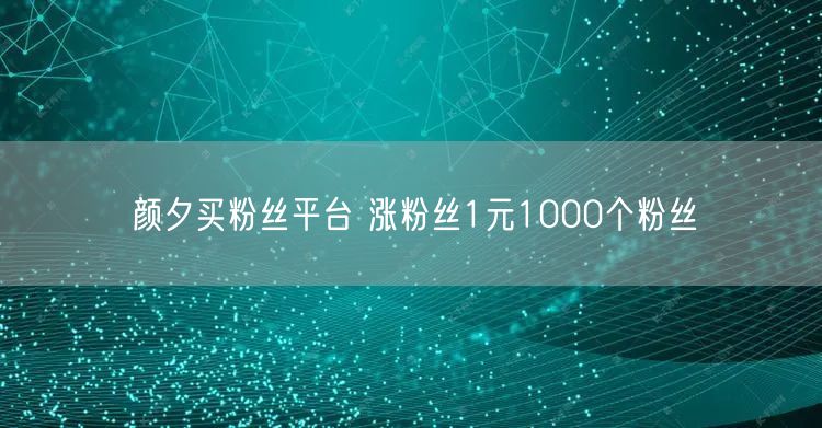 颜夕买粉丝平台 涨粉丝1元1000个粉丝