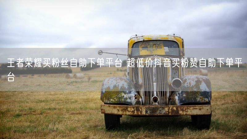 王者荣耀买粉丝自助下单平台 超低价抖音买粉赞自助下单平台