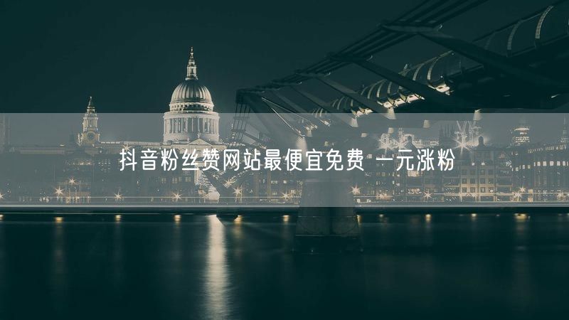 抖音粉丝赞网站最便宜免费 一元涨粉