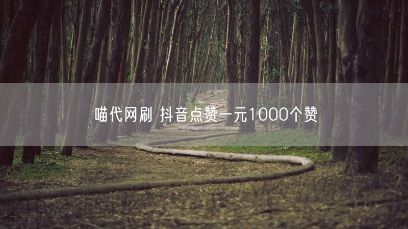 喵代网刷 抖音点赞一元1000个赞