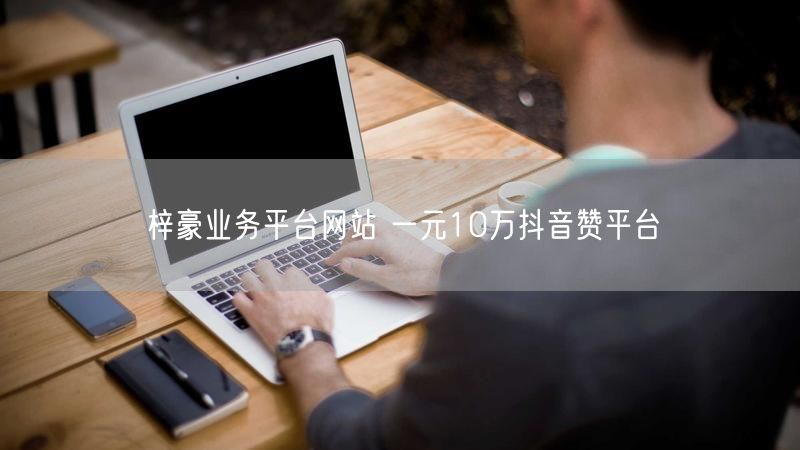 梓豪业务平台网站 一元10万抖音赞平台