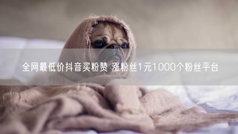 全网最低价抖音买粉赞 涨粉丝1元1000个粉丝平台