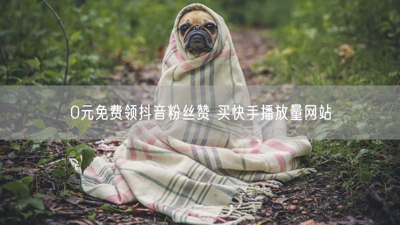 0元免费领抖音粉丝赞 买快手播放量网站