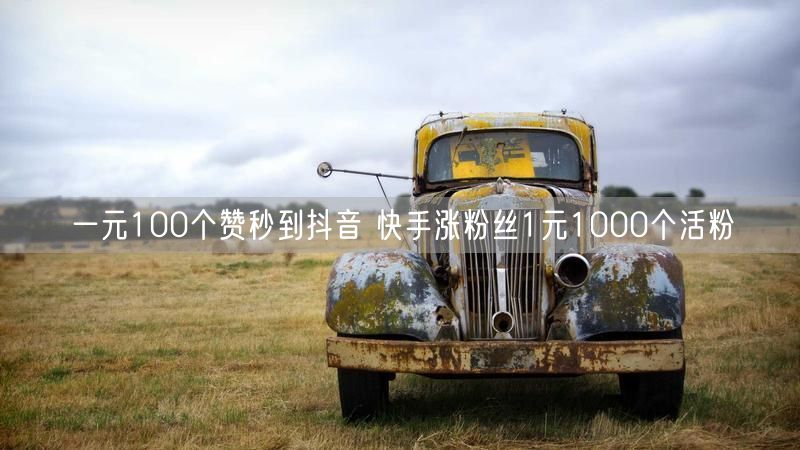 一元100个赞秒到抖音 快手涨粉丝1元1000个活粉