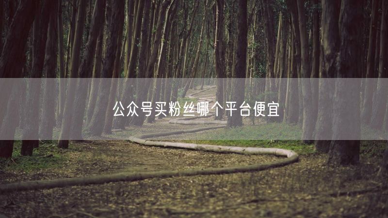 公众号买粉丝哪个平台便宜