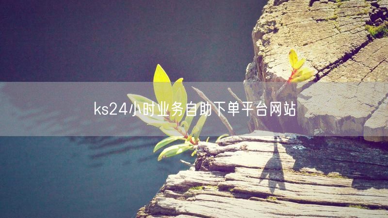 ks24小时业务自助下单平台网站