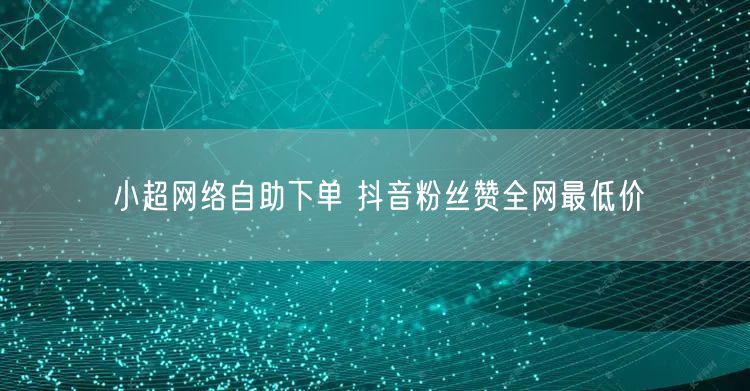 小超网络自助下单 抖音粉丝赞全网最低价