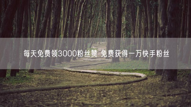 每天免费领3000粉丝赞 免费获得一万快手粉丝