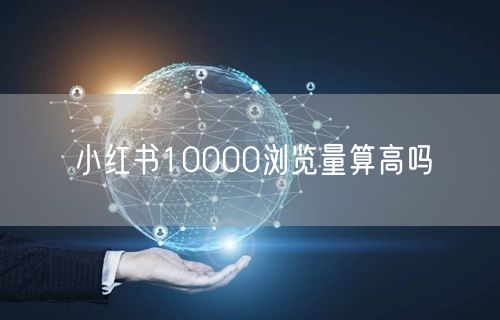 小红书10000浏览量算高吗