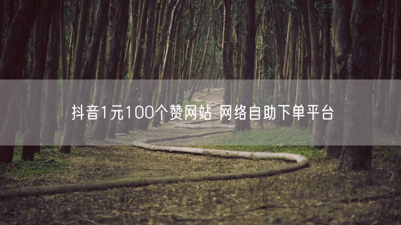 抖音1元100个赞网站 网络自助下单平台