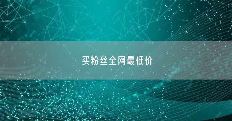 买粉丝全网最低价