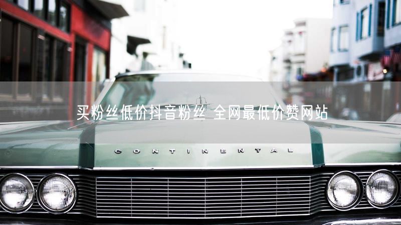 买粉丝低价抖音粉丝 全网最低价赞网站