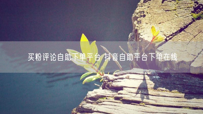 买粉评论自助下单平台 抖音自助平台下单在线
