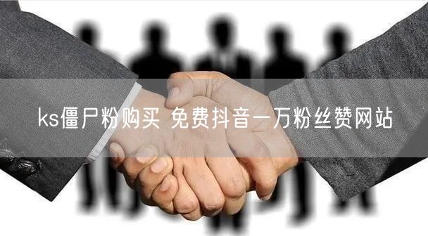 ks僵尸粉购买 免费抖音一万粉丝赞网站